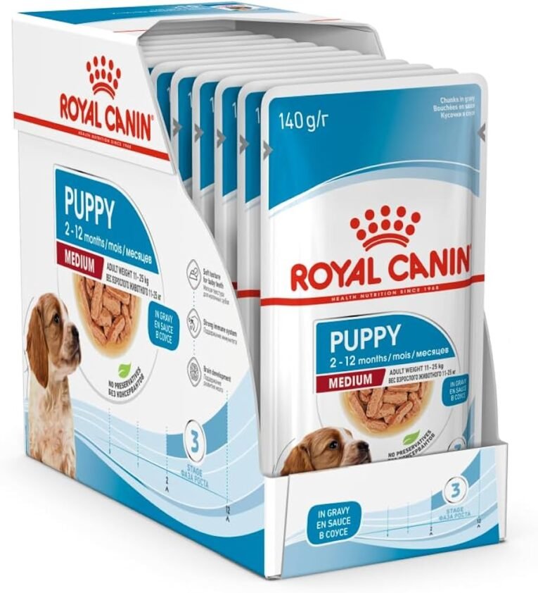 MEDIUM PUPPY