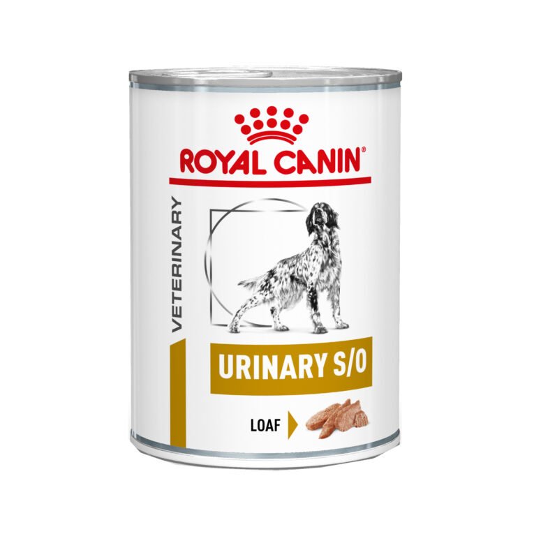 URINARY DOG CAN