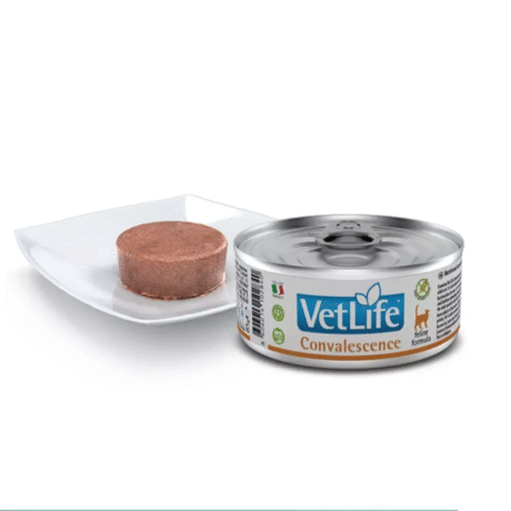 VETLIFE CAT CONVALESCENCE WET FOOD