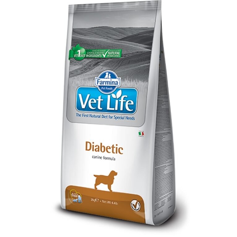 DIABETIC DOG DRY FOOD