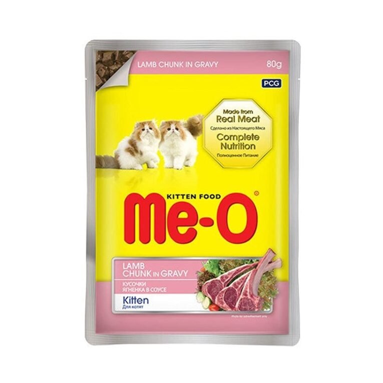 KITTEN LAMB 9868