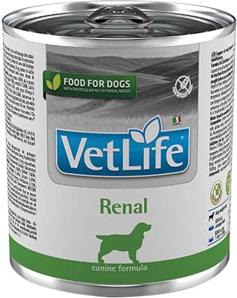 dog renal wet food