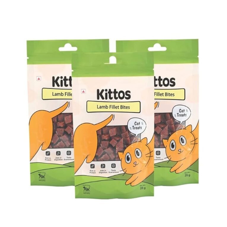 LAMB BITES CAT