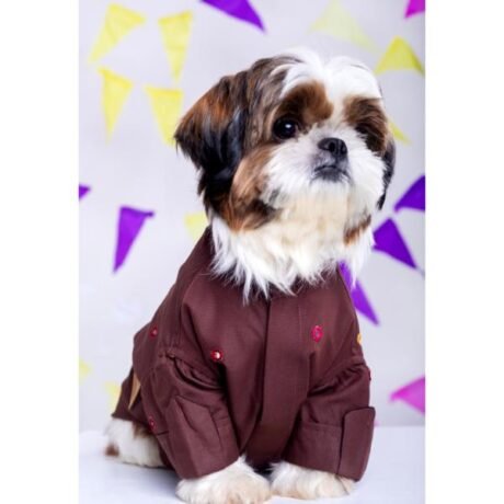 CHOCOLATE BROWN MIRRORWORK KURTA FOR DOGS