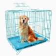 DOG CAGES1842154