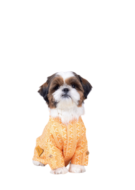 HALDI DOG KURTA FOR DOGS