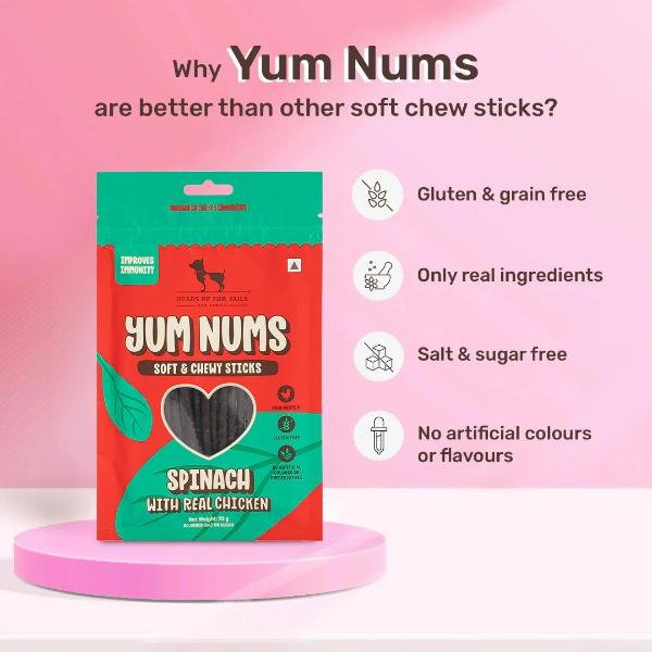 HUFT YUMS NUMS SPINACH DOG28979