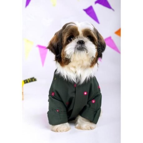 HUNTER GREEN MIRRORWORK KURTA FOR DOGS