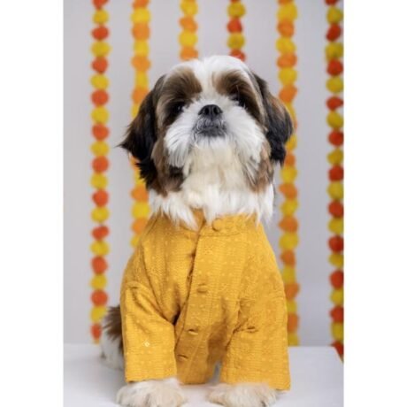 MUSTARD YELLOW SHERWANI FOR DOGS