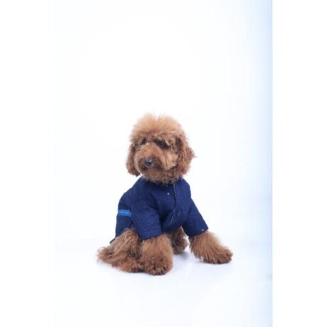 NAVY BLUE DOG SHERWANI FOR DOGS