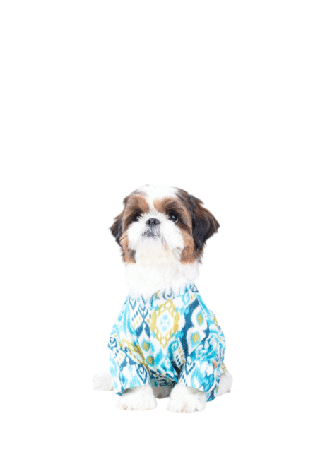 NAWAB DOG KURTA FOR DOGS