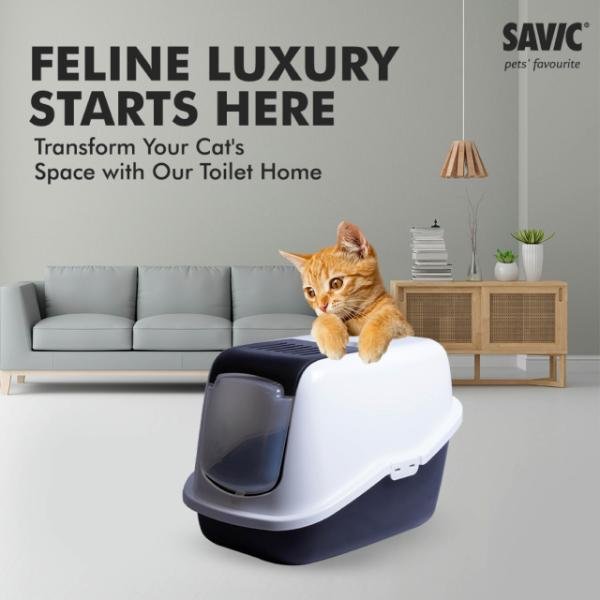 NESTOR LUXURY CAT218219