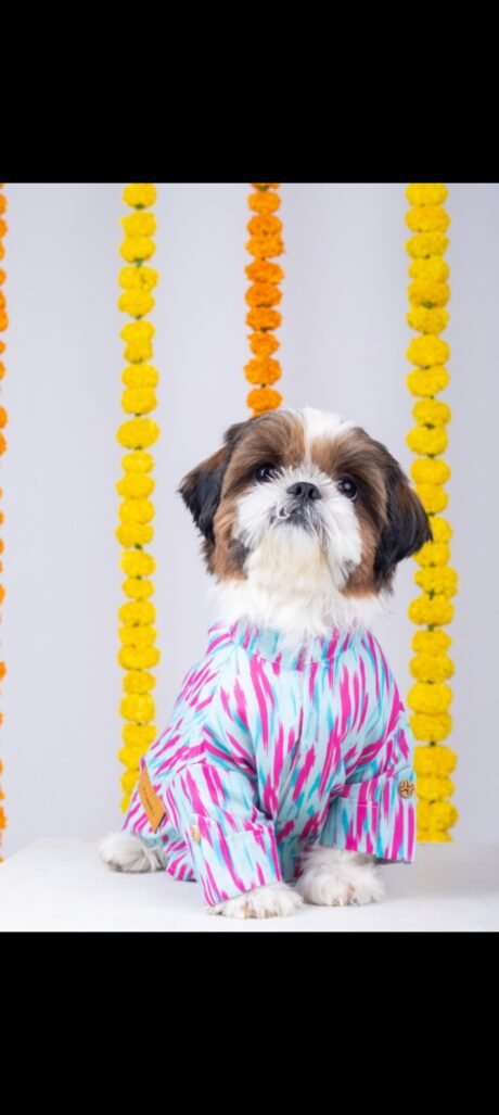 PHATAKA DOG KURTA FOR DOGS
