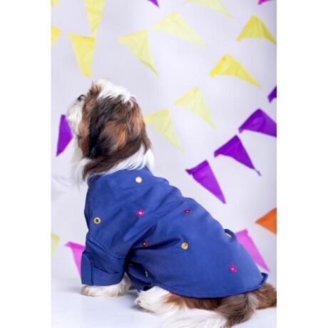 PERSIAN BLUE MIRRORWORK KURTA FOR DOGS