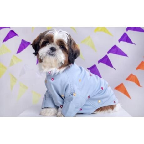 POWDER BLUE MIRROR WORK KURTA FOR DOGS