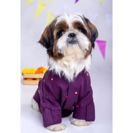 PURPLE WINE MIRROR WORK KURTA FOR DOGS
