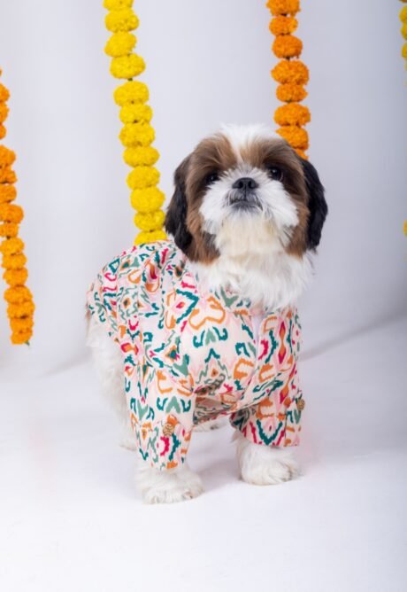 RANGEELA DOG KURTA'S FOR DOGS