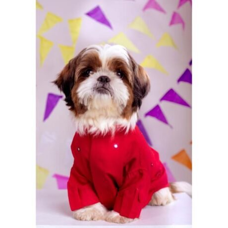 ELECTRIC RED MIRRORWORK KURTA FOR DOGS