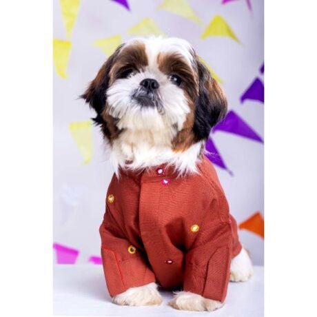 RUST ORANGE MIRRORWORK KURTA FOR DOGS
