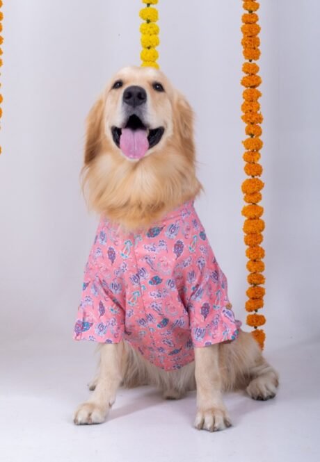 UTSAV DOG KURTA FOR DOG