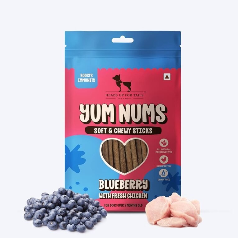 YUM NUMS DOG BLUEBERRY HUFT