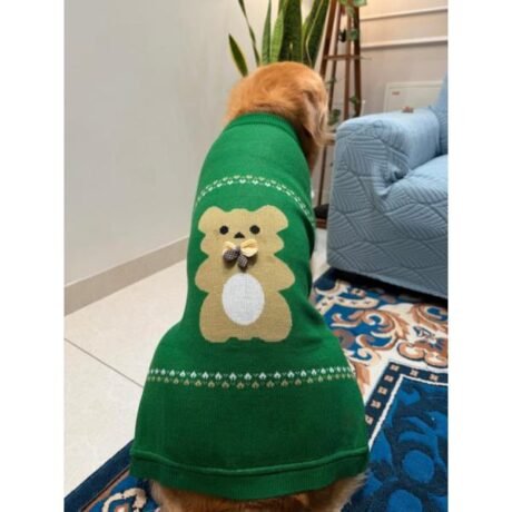GREEN TEDDY SWEATER FOR DOGS