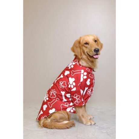 PAWS-ITIVE DOG SHIRT