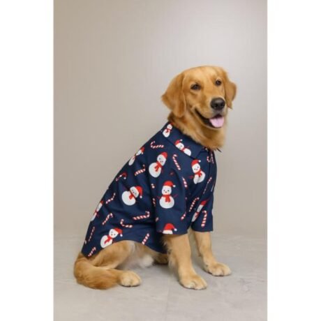 SNOWMAN DOG SHIRT
