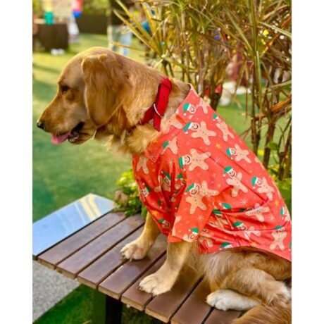 GINGERBREAD MAN DOG SHIRT