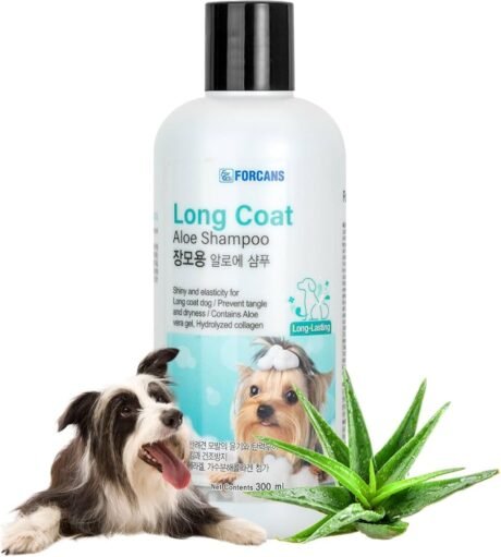 FORCANS Long Coat Aloe Shampoo