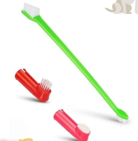 CANINE TOOTH BRUSH KIT