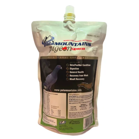 MY BEAU PIGEON EXPRESS