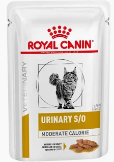ROYAL CANIN S\O MOD CALORIE WET FOOD FOR CATS