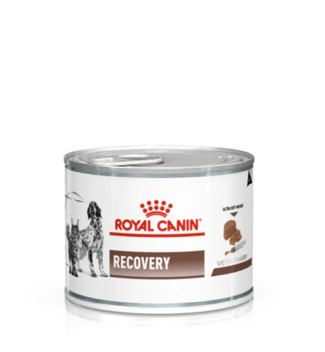 ROYAL CANIN RECOVERY CAN