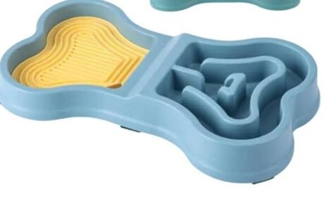 CANINE SLOW FEEDING DOUBLE BOWL