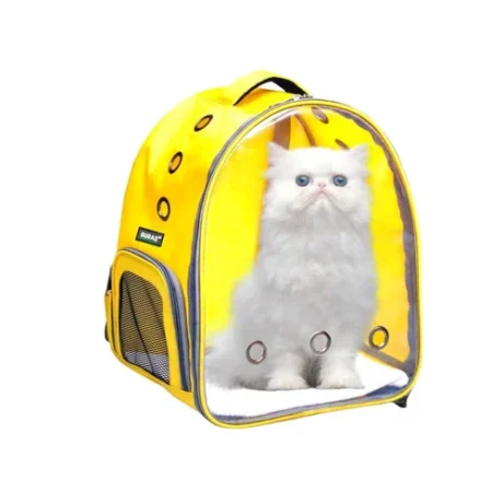 ARYA TRANSPARENT CAT BAG