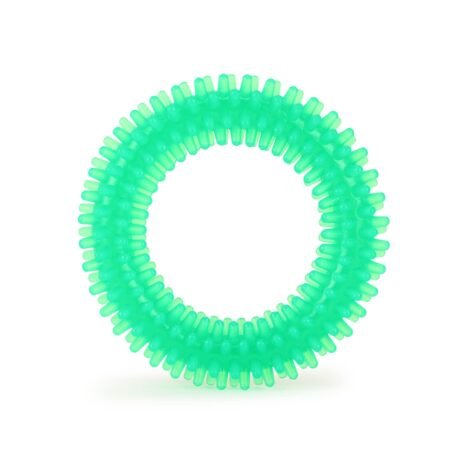 BASIL DOG CHEW TOY , SPIKED RING