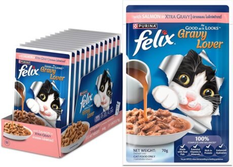 PURINA FELIX SALMON IN GRAVY ADULT WET FOOD 70G