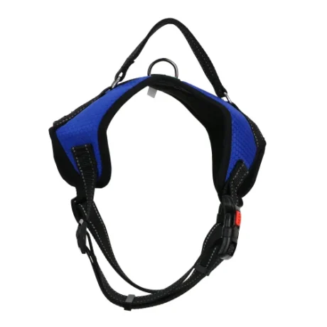 BASIL NO PULL HARNESS