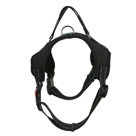 BASIL NO PULL HARNESS