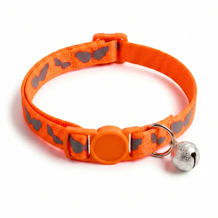 Orange_4995877d-5e65-4841-aa2a-75395ad11e0a