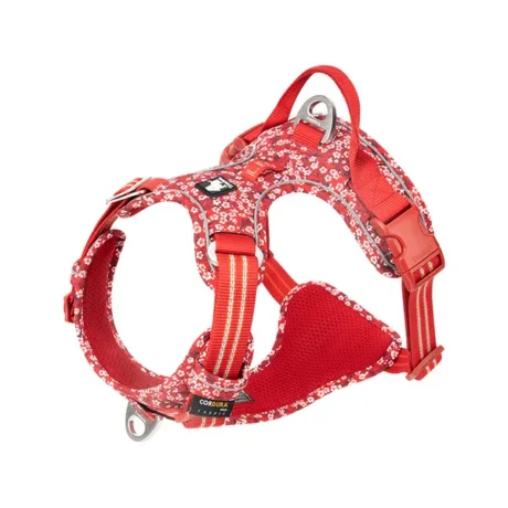 TRUE LOVE NO-PULL FLORAL HARNESS