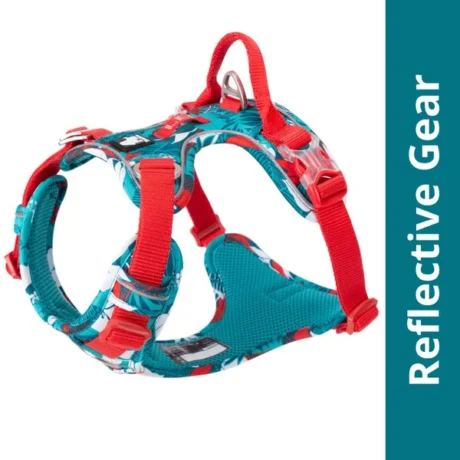 TRUE LOVE NO-PULL SPECIAL EDITION HARNESS