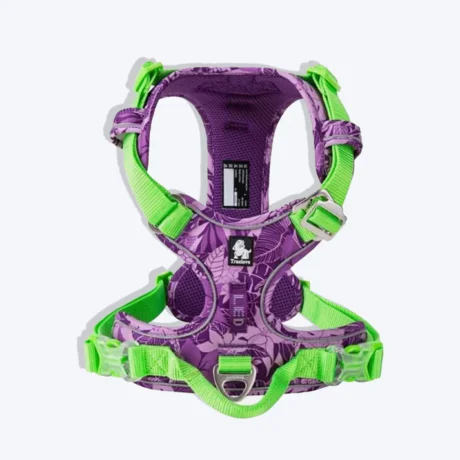 TRUE LOVE NO-PULL SPECIAL EDITION HARNESS