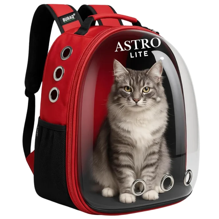 astronaut-lite-pet-backpack-transparent-ventilated-4633658