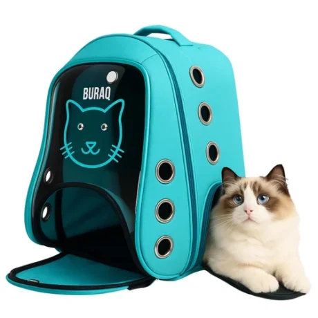 ARYA CAT FACE PET BAG