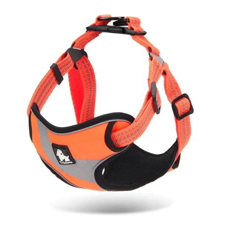 TRUE LOVE 3M STEP-IN HARNESS