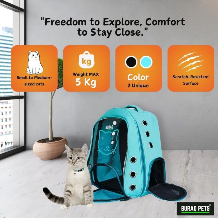 cat-face-pet-carrier-stylish-ventilated-for-travel-5652041