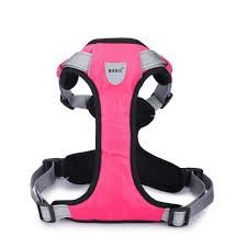 BASIL FULL BODY HANDEL HAENESS PINK
