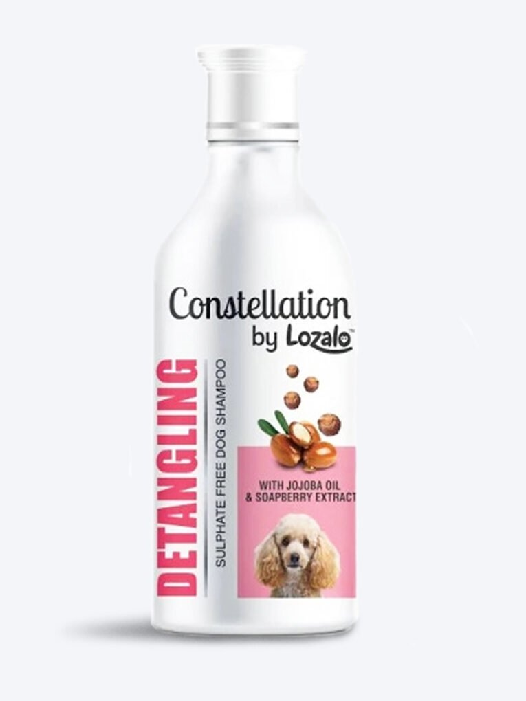 lozalodetangling2304A